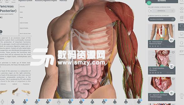 Mac系统中Complete Anatomy和3Dbody哪个更适合医学生学解剖