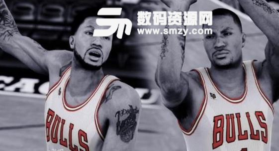 NBA2K16玫瑰罗斯三款超清面补下载