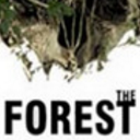 迷失森林游戏The Forest电脑版