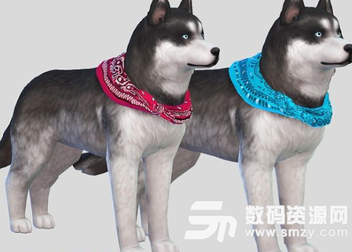 模拟人生4大型犬狗狗日系围巾MOD下载