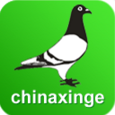 中国信鸽信息网iPhone版(信鸽学习交流) v1.1 免费版