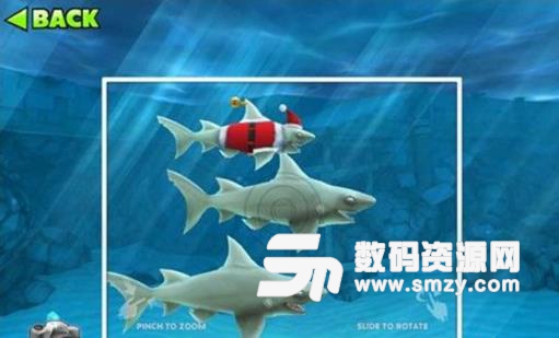 饥饿的鲨鱼进化圣诞礁鲨宝宝详解及获取方法下载