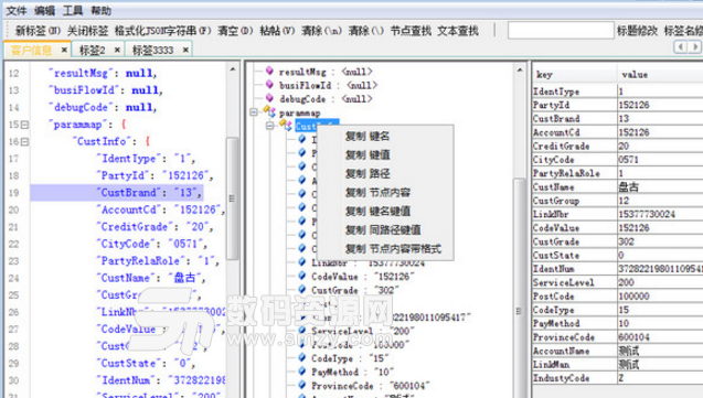 Json格式化