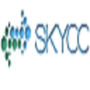 skycc网址存活与收录批量查询工具