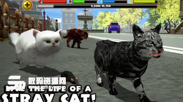 流浪猫模拟器安卓版(扮演一只流浪猫) v1.4 手机版