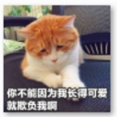 小猫咪带字表情包高清版