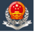 湖南国税电子税务局官方网页版