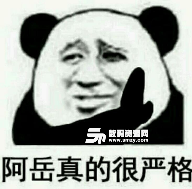 中国有嘻哈熊猫头微信表情包