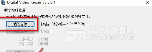Digital Video Repair免费版