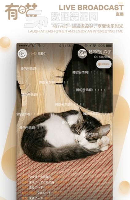 有喵完整版(满足无猫一族的撸猫需求) v1.1 安卓手机版