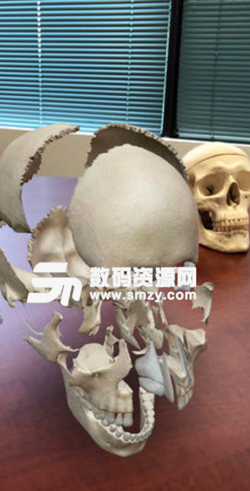2018人体解剖学图谱中文版v1.4 手机版