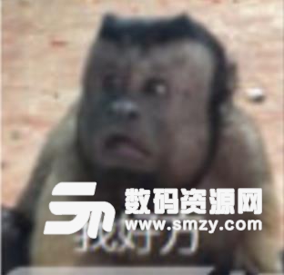 惊恐国字脸猴子表情包截图