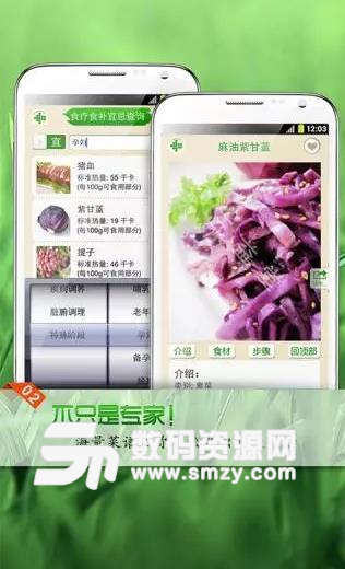 专家养生菜谱宝典手机正式版(菜谱工具) v1.3 安卓版