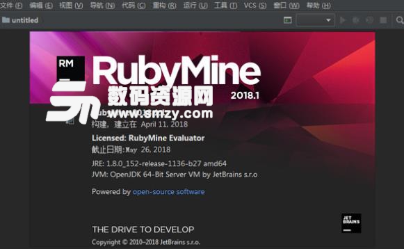 RubyMine2018汉化包