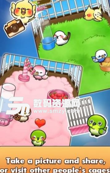 小鸟生活手游(宠物养成游戏) v1.9.7 安卓版