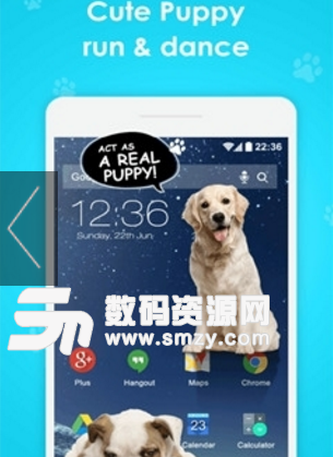 iDog手机版(手机屏幕上养狗) v1.5 安卓版