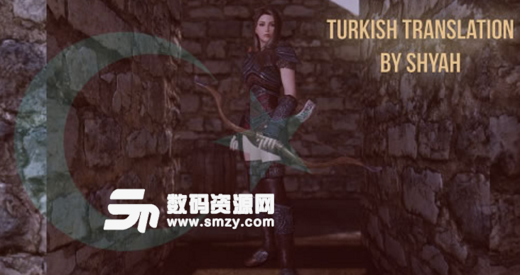 上古卷轴5天际土耳其女孩的沉重的盔甲MOD