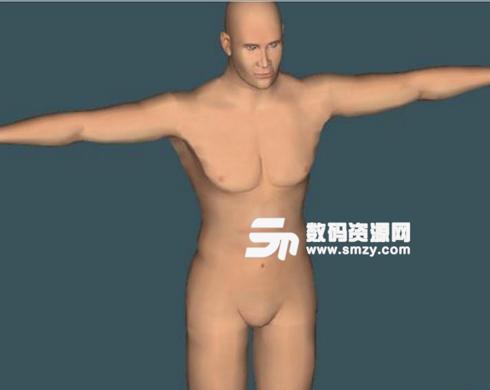 人体穴位3D模型软件绿色版