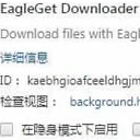 EagleGet Downloader