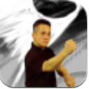 咏春拳教学视频手机版(这里有多种的咏春拳法) v3.8.5 安卓版