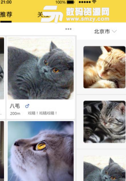 有猫以后app安卓版(猫奴必备社交互动平台) v1.0 手机版