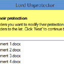 Lord Unprotector免费版