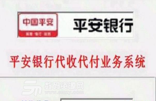 平安银行代收代付业务系统中文最新版