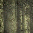 秘境森林1.90正式版