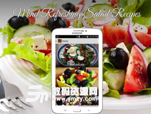 沙拉食谱免费安卓版(美味食谱) v24.3.0 手机版