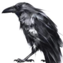 Black Bird Image Optimizer Pro汉化版