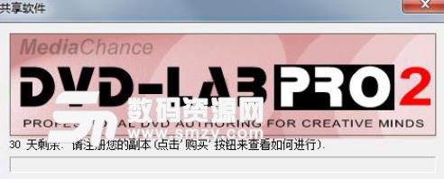 dvdlab Pro序列号版