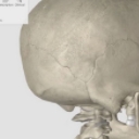 3D Organon Anatomy免费版
