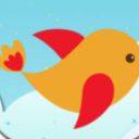 鸟和墙手机版(休闲小游戏) v1.2 安卓版