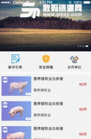惠养猪手机版(全新的养猪模式) v1.1 安卓最新版
