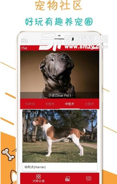 宠物狗狗百科安卓版(犬类宠物知识平台) v1.0 手机版