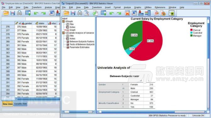 IBM SPSS Statistics19正式版截图