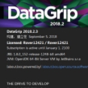 DataGrip2018.2离线激活补丁