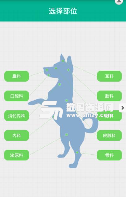宠物宝APP安卓版(掌握狗狗急救知识) v1.5 手机最新版