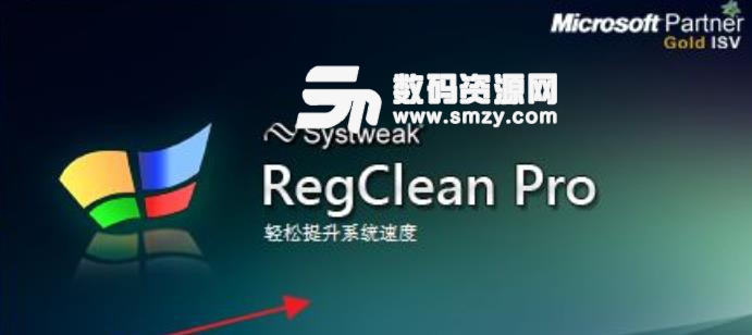 Regclean Pro注册版下载