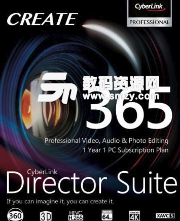 Director Suite 365完美版图片