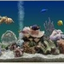 SereneScreen Marine Aquarium免注册版