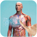 虚拟现实人体解剖app(VR虚拟人体结构) v1.2 安卓版