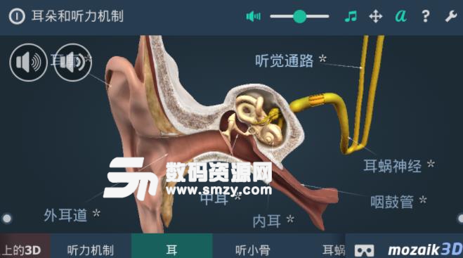 耳朵和听力机制互动教育3D安卓版(3D互动式教育) v1.6.0 手机版