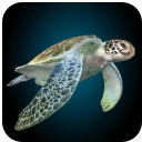 海龟模拟器手机版(模拟海龟冒险) v1.4 安卓版
