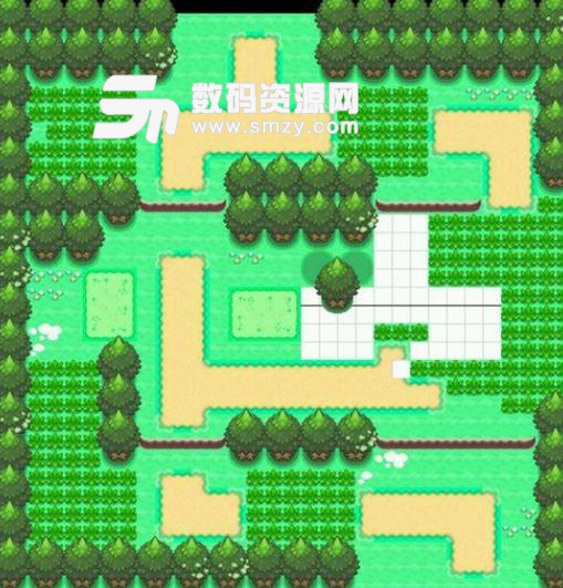 NDS Map Maker免费版