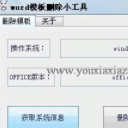 Word模板删除小工具免费版