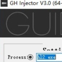 GH Injector注入器