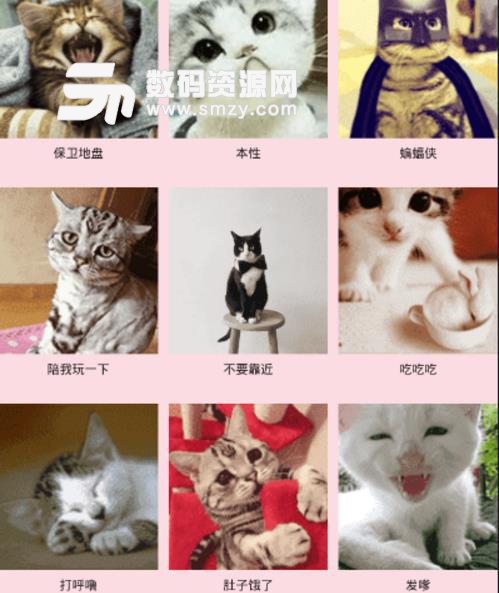 人猫狗语言交流器手机版(手机宠物app) v1.4.1 安卓版