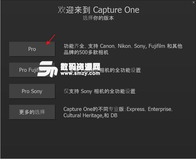 Capture One Pro 12绿色版