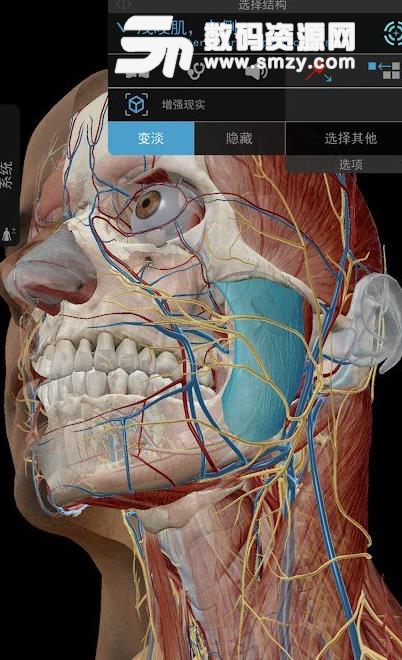 2019版人体解剖学图专业版(atlas解剖安卓版) 手机版